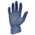 DISPOSABLE POWDERFREE BLUE VINYL GLOVES XL (100bx) DISPOSABLE POWDERFREE BLUE VINYL GLOVES XL (100bx)